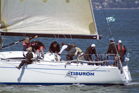 Tiburon