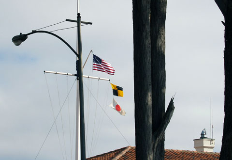 Flags