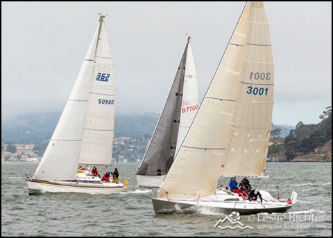 Wolfpack at the Spinnaker Cup start