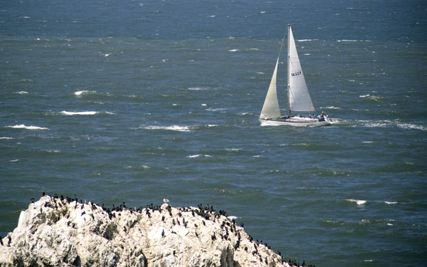 Wind Star at the start