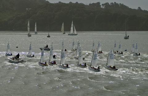 Optis at the start