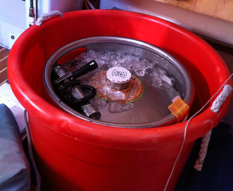 Keg on Tiger Beetle