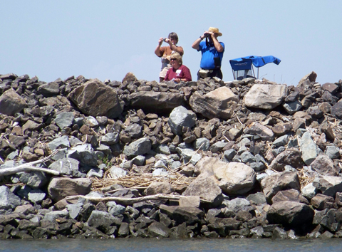 Race Committee on the levee