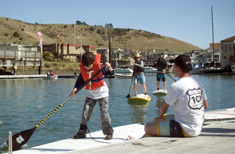 Paddle Boards