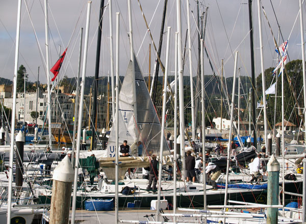 Forest of masts