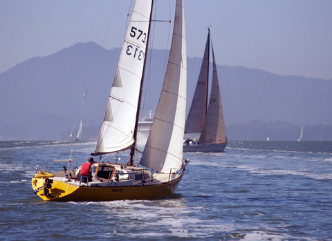Yellow Jack