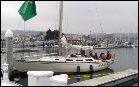 Harp at the dock