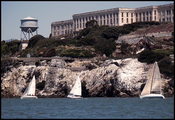 Ergo, Coyote and Wahoo at Alcatraz