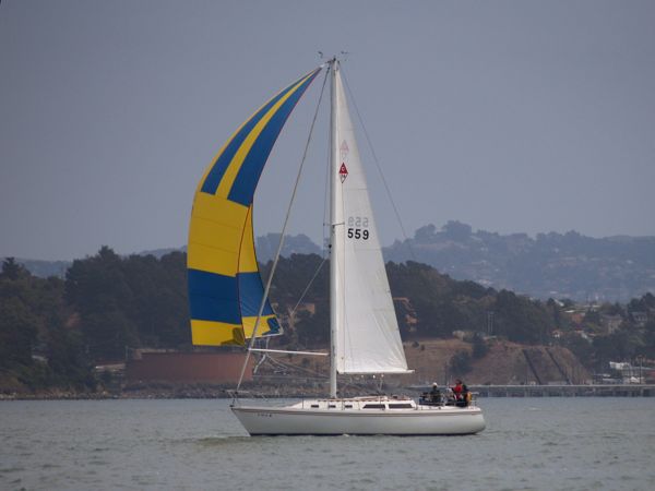 NC310224