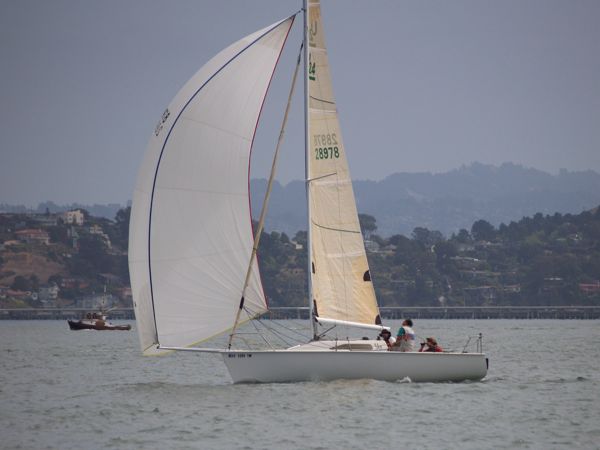 NC310227