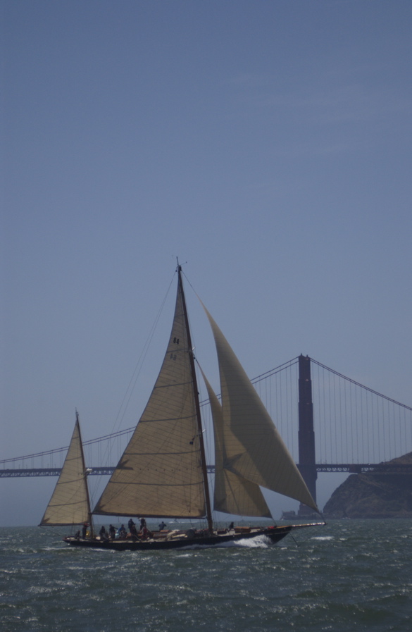 DSC_3036
