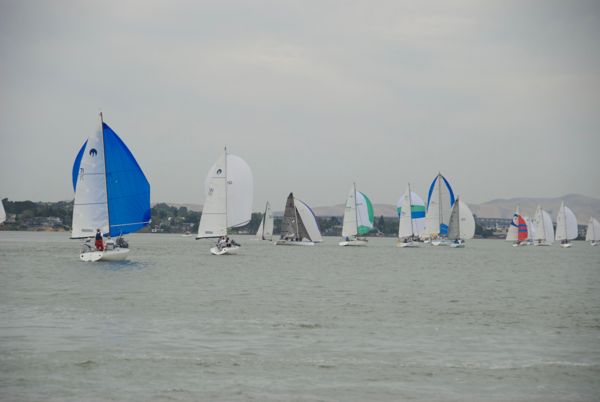 DSC_2517