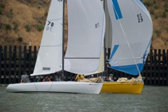 DSC_2503