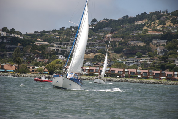 DSC_3500