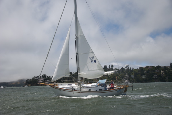 DSC_3536