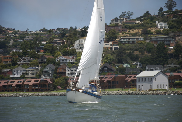 DSC_3541