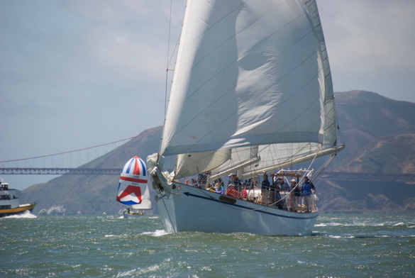 DSC_2560 (1)