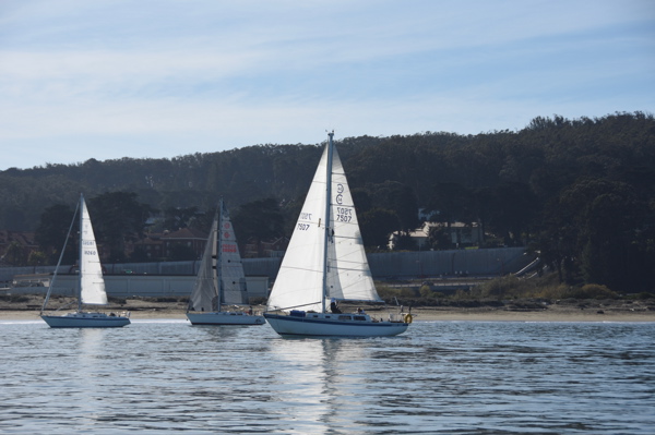 DSC_0321
