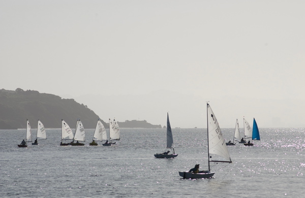DSC_1733