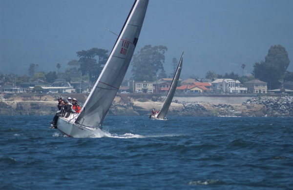DSC_1101