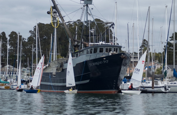 DSC_0737