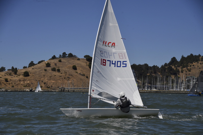 NCS_7519
