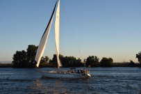 CAW_9501