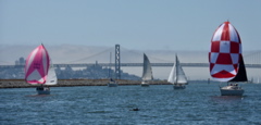 CAW_9575